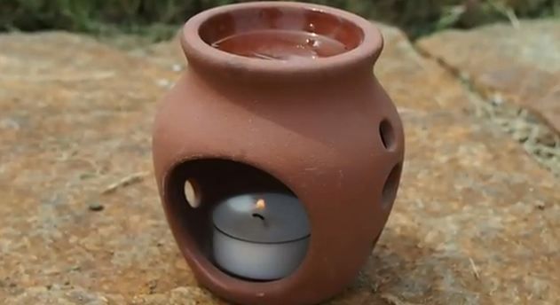 Natural Ways to Get Rid of Mosquitoes