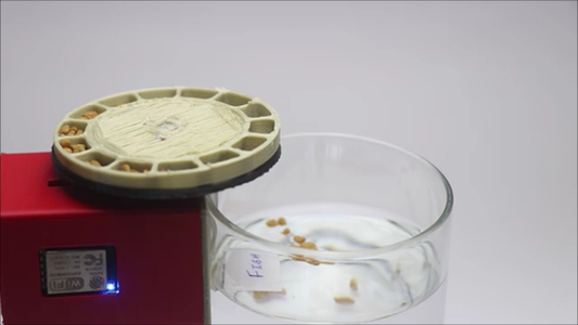 How to Connect and Use