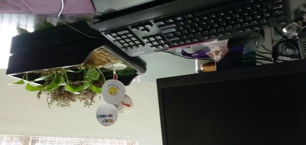 Office Table Garden Kit