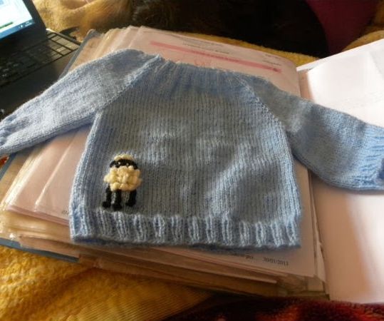 New Born Blue Raglan Sweater