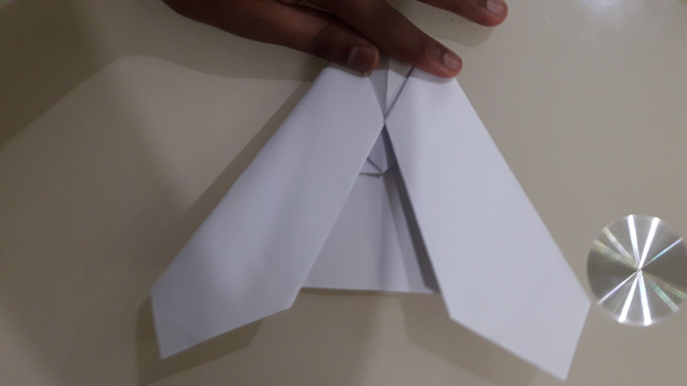 THE BUZZ PLANE : 7 Steps - Instructables