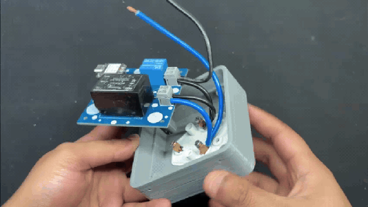 Plug Section Complete Assembly