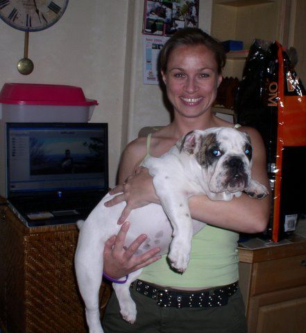 How to Socialize Your Pet