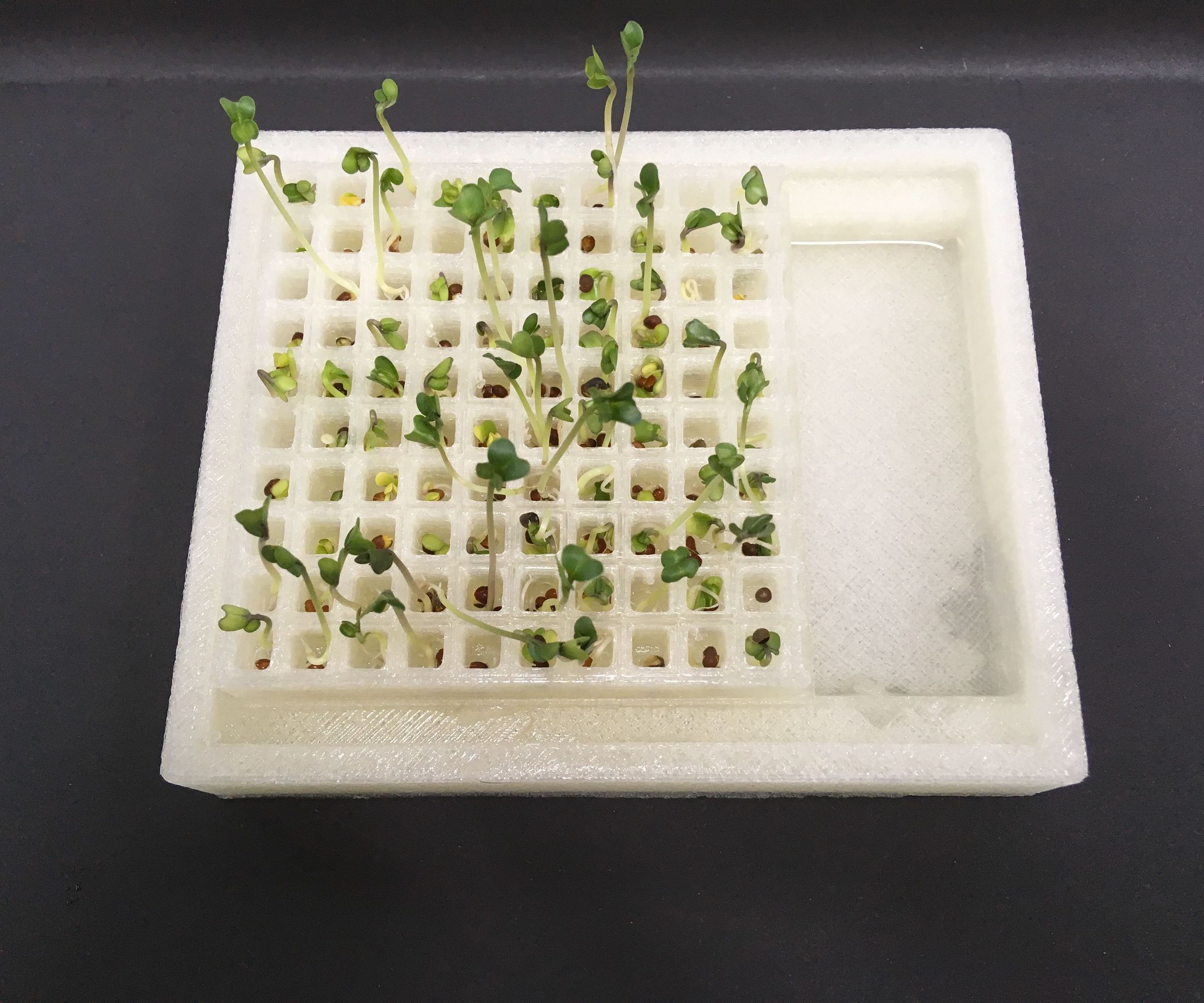 Germinate Seeds With a 3D Printed Container