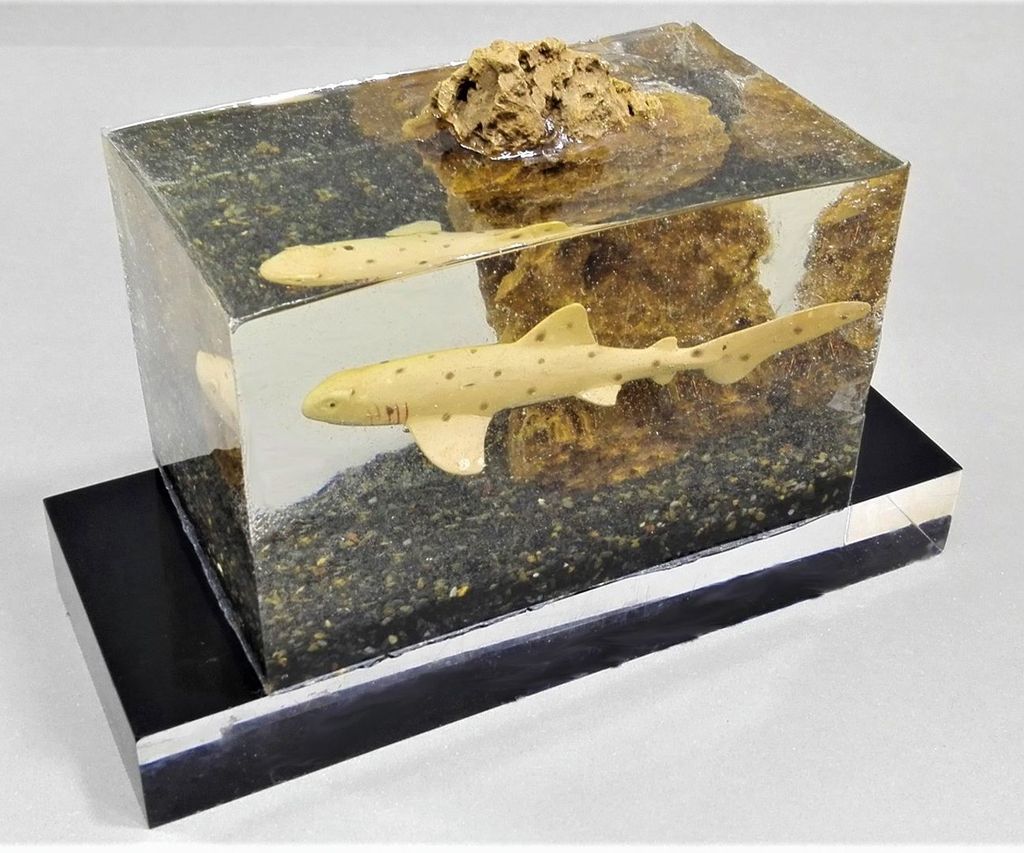 How to Make Faux Aquarium Shark Fish Tank Lamp Resin Art