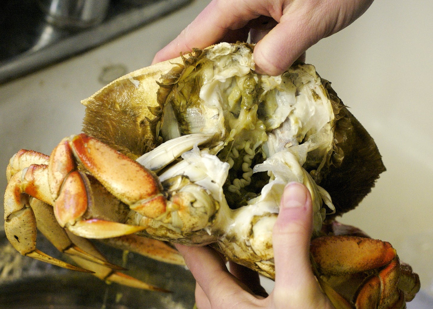 how do you eat dungeness crab