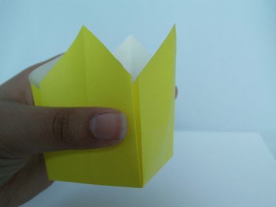Origami Box With Interlocking Flaps : 3 Steps (with Pictures ...