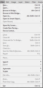 File Menu