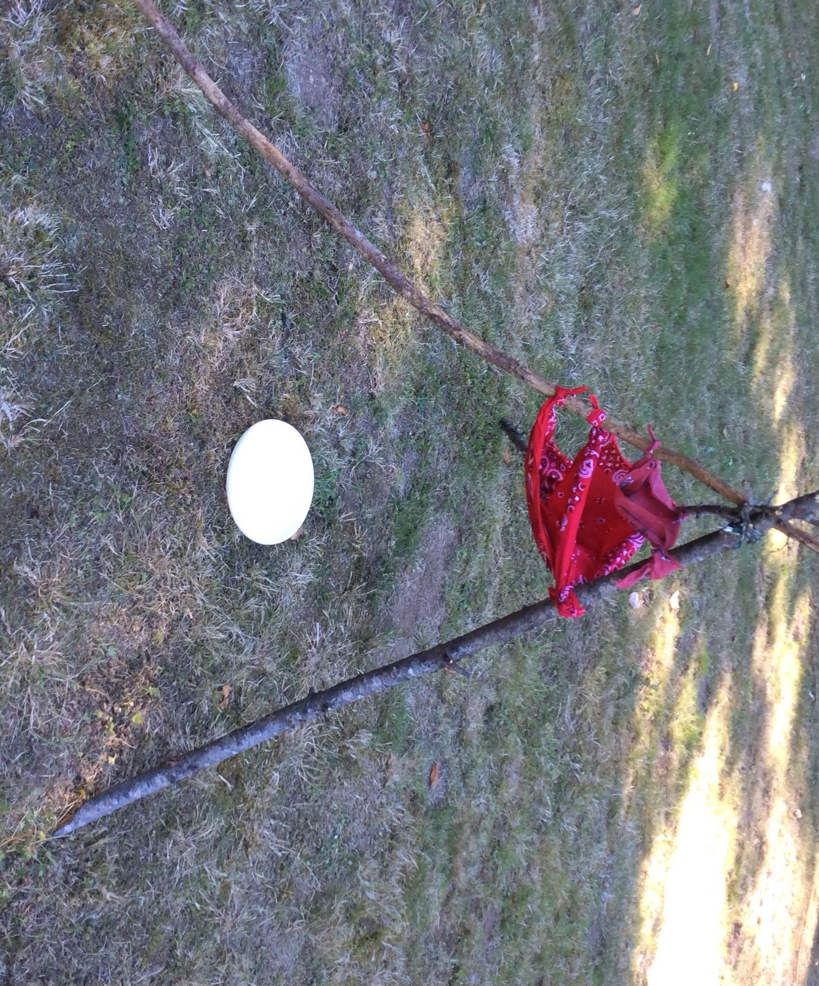 Basic Water Filtration for Survival  