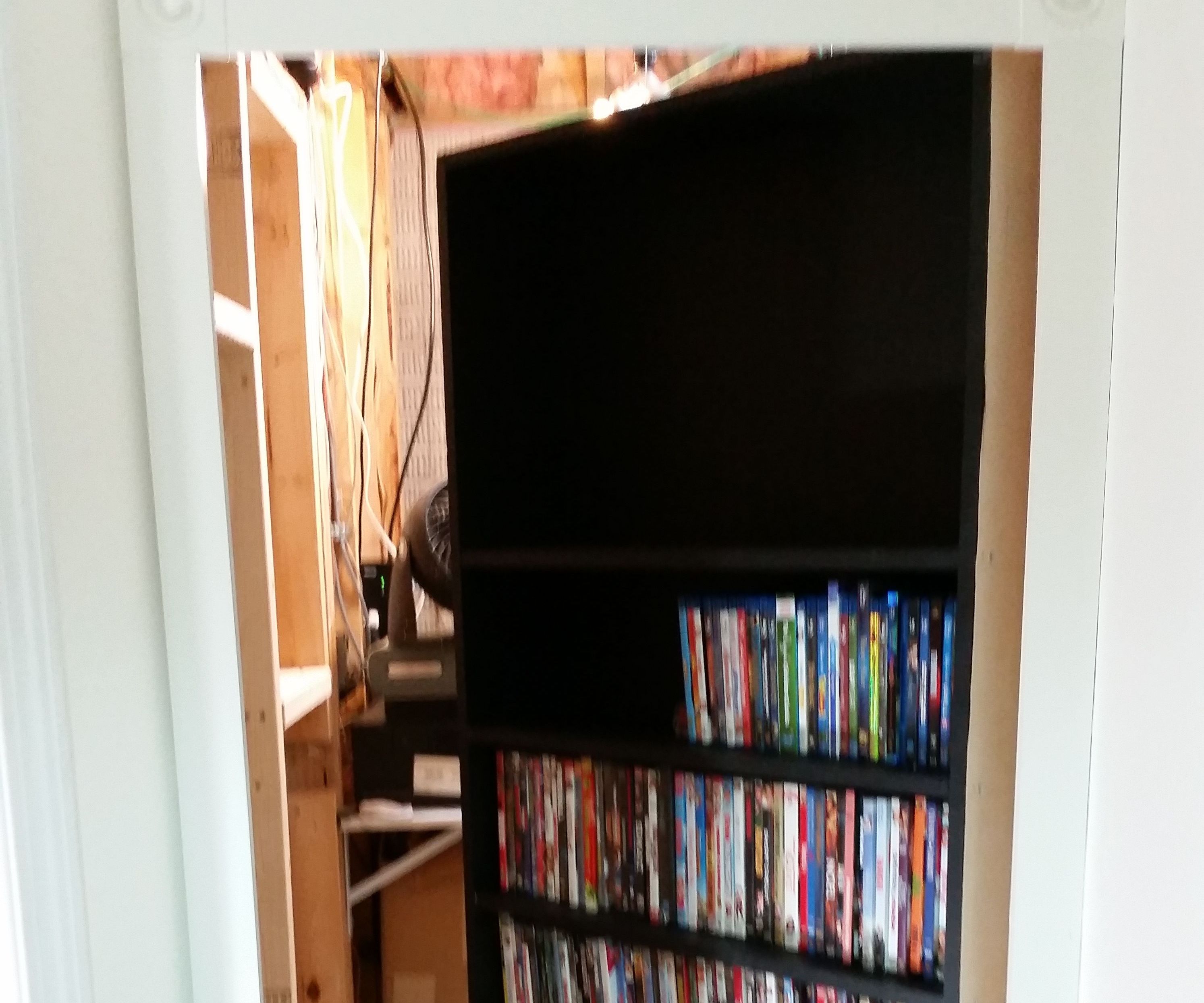 Secret DVD/Bookcase Door