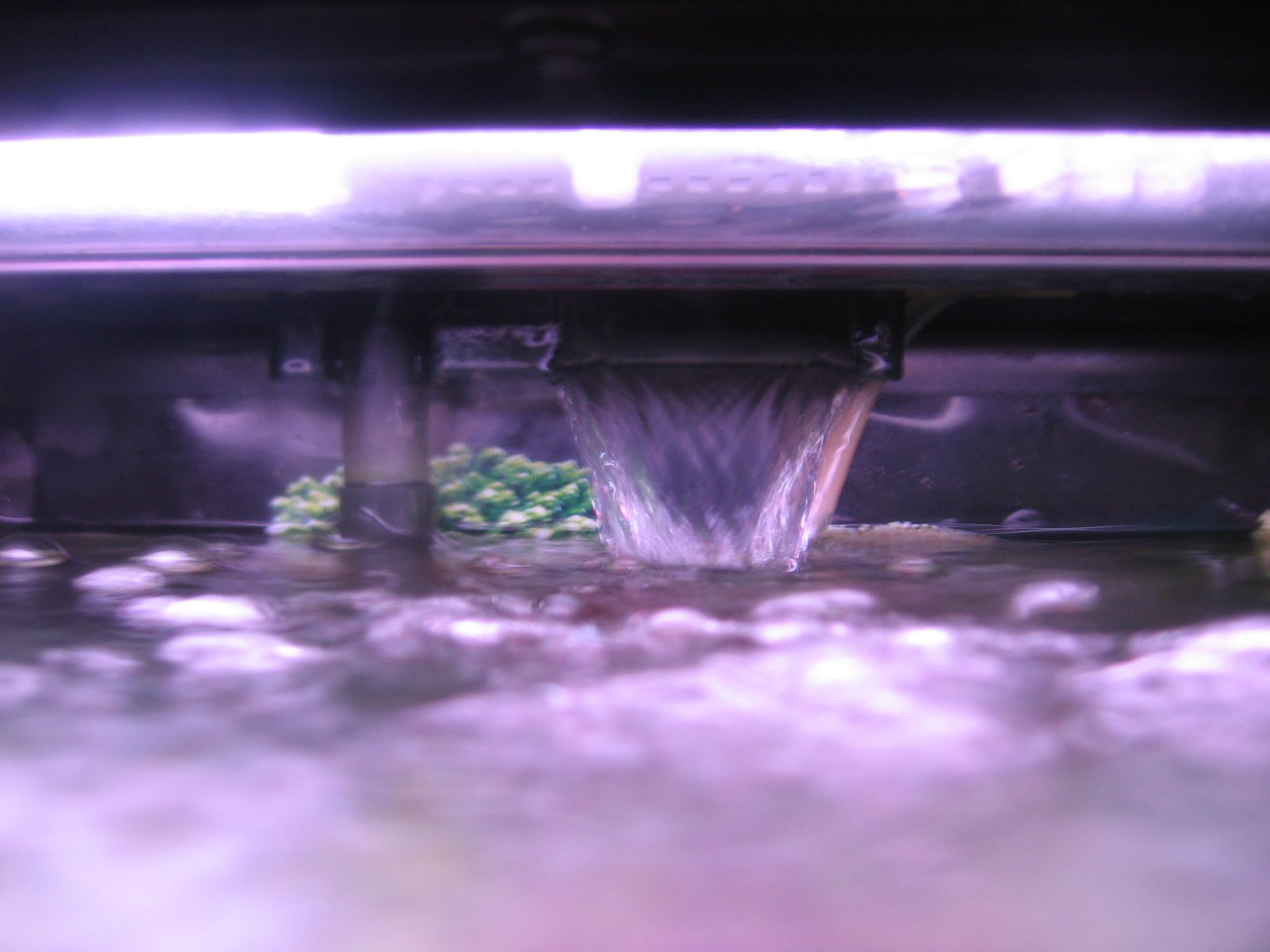 Begginer Fish Tank : 10 Steps - Instructables
