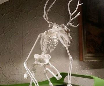 3D Printed Wendigo Skeleton - Freedownload ^^