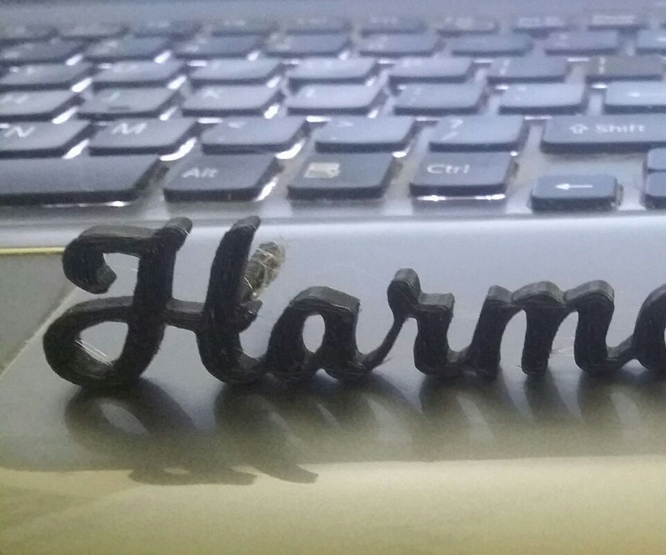3D Printed Logo (Name Badge)