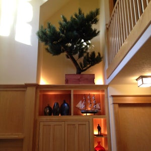 Artificial Pine Tree