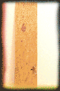 Portable Tool Board for Cycle Repairs.