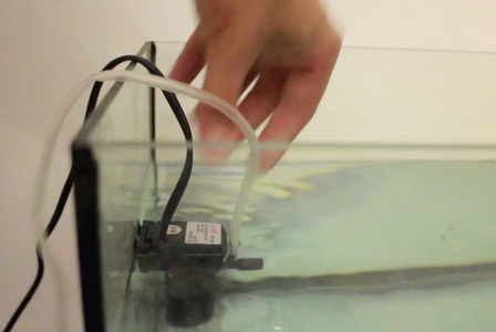 Get a Filtration Pump 