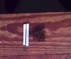 Rolling a Cigarette