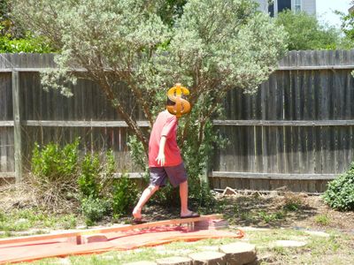 Balance Beam