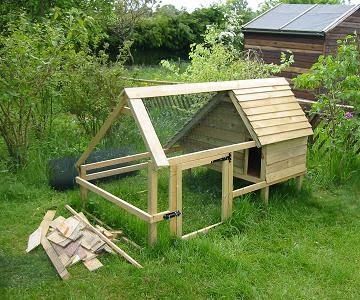 Chicken Coup