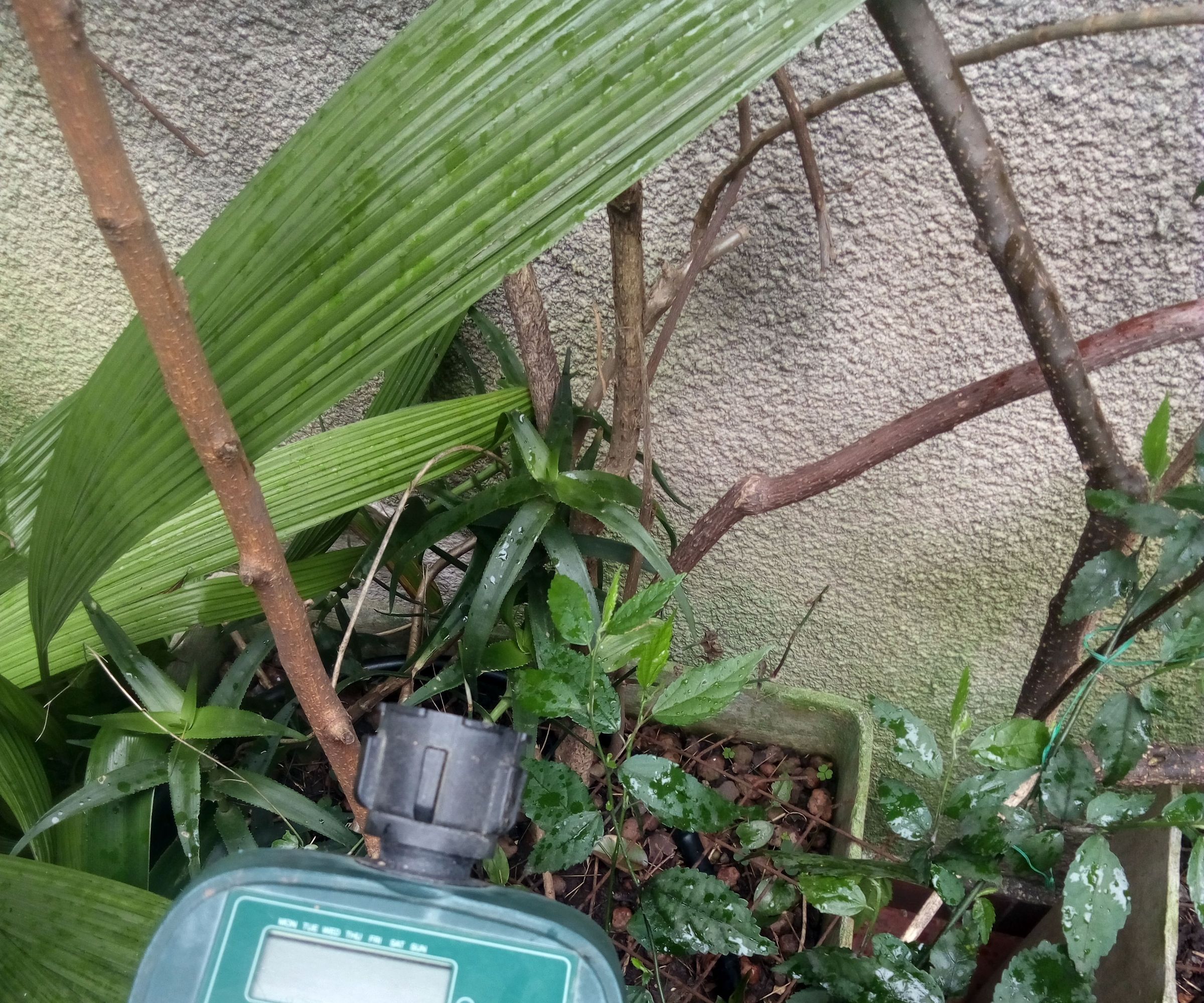 Instalación Controlador De Riego