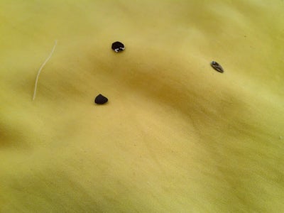 Step 5