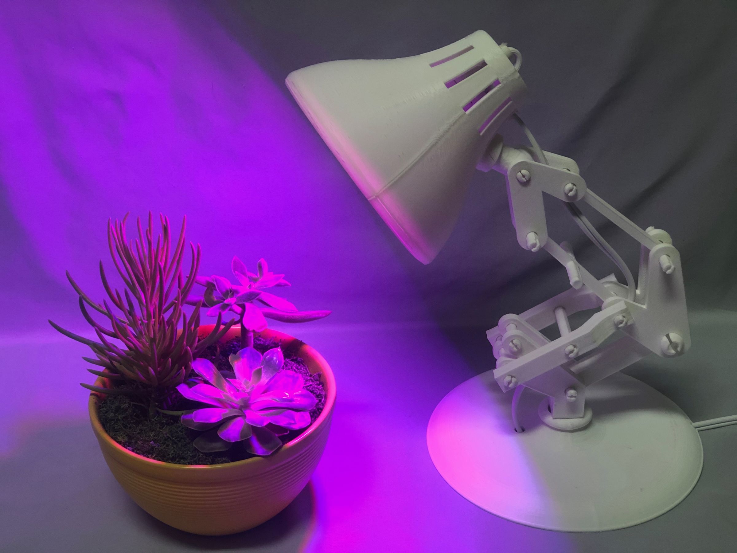 Pixar Plant Lamp 4 Steps Instructables