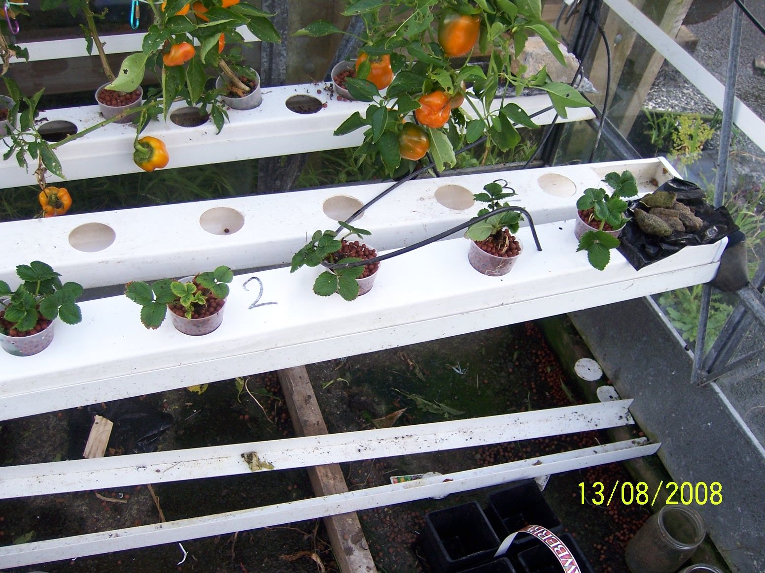 Hydoponic Garden - Gravity Feed