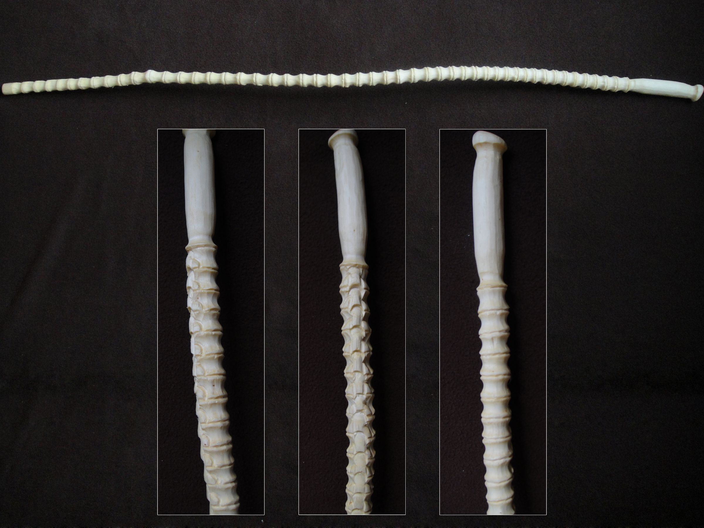 Carving a Spine Hiking Pole