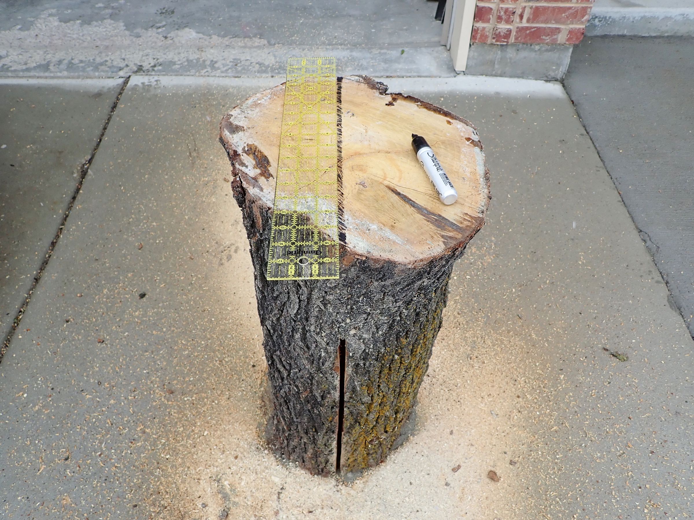 Simple Garden Bench From a Log 11 Steps (with Pictures) Instructables