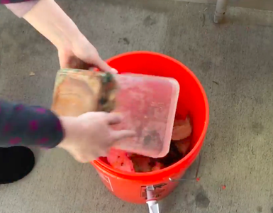 Add Food Waste & Bacteria