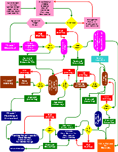 My Process