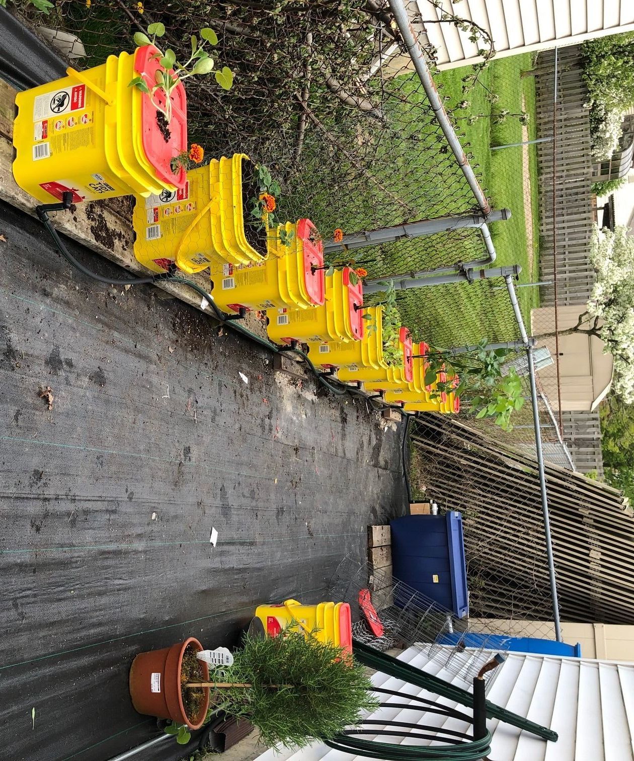 Self-wicking Rain Water Container Garden