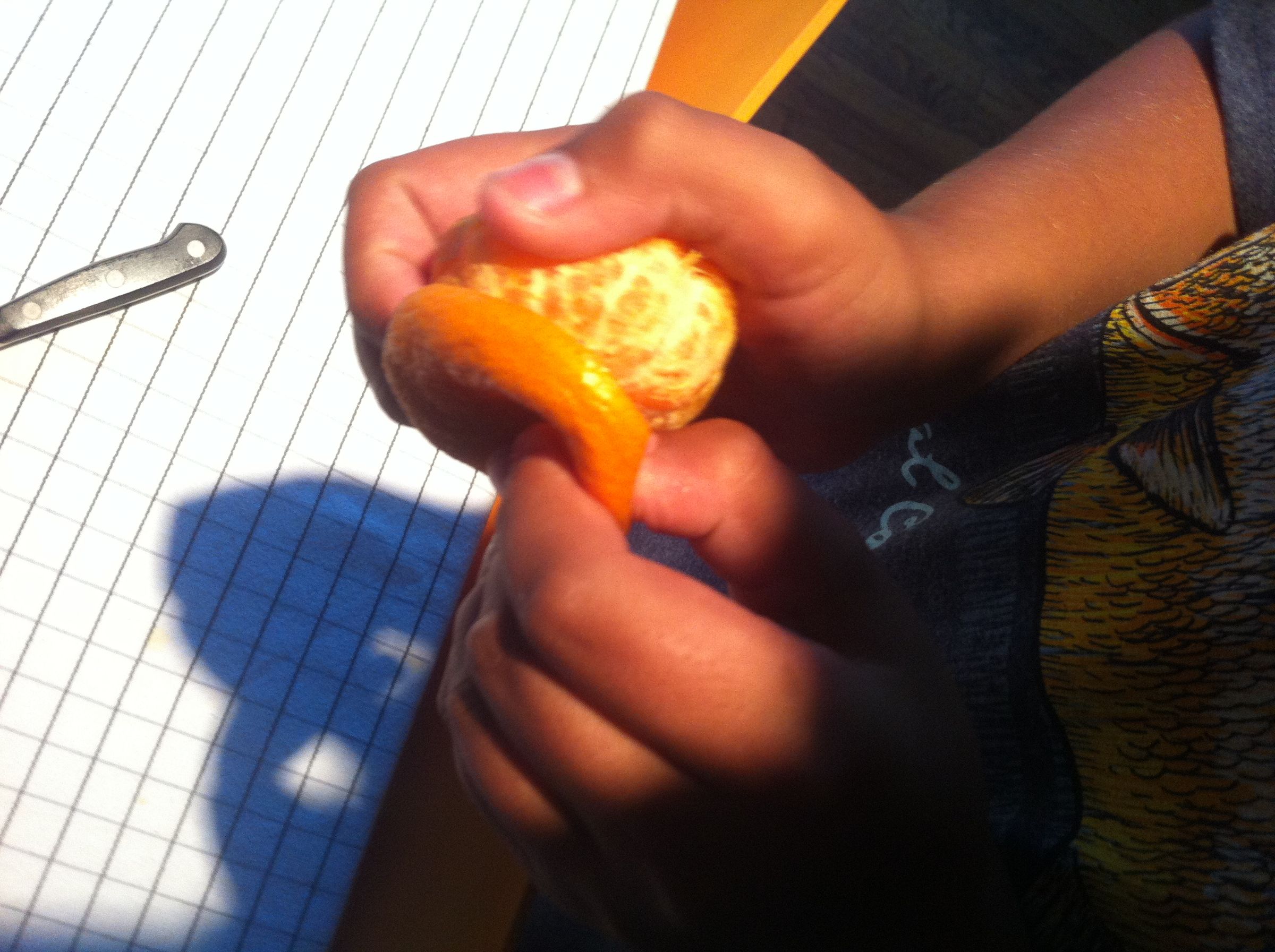 Easy Floating Orange Peel Candle 6 Steps (with Pictures) Instructables