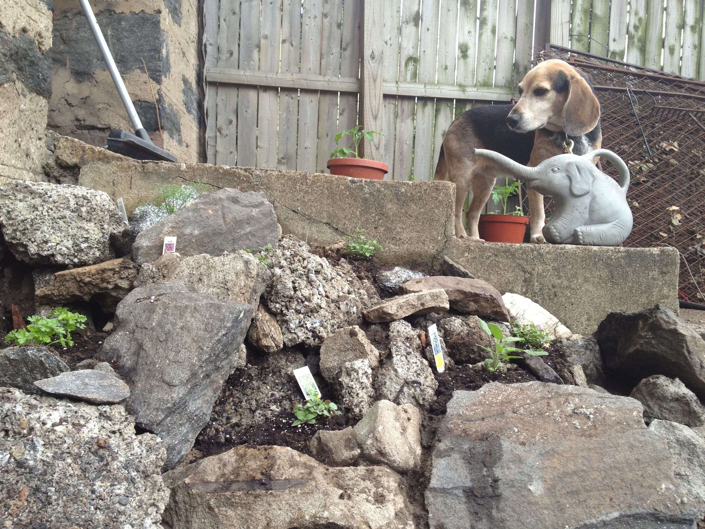 Build a Community Garden 8 Steps (with Pictures) Instructables