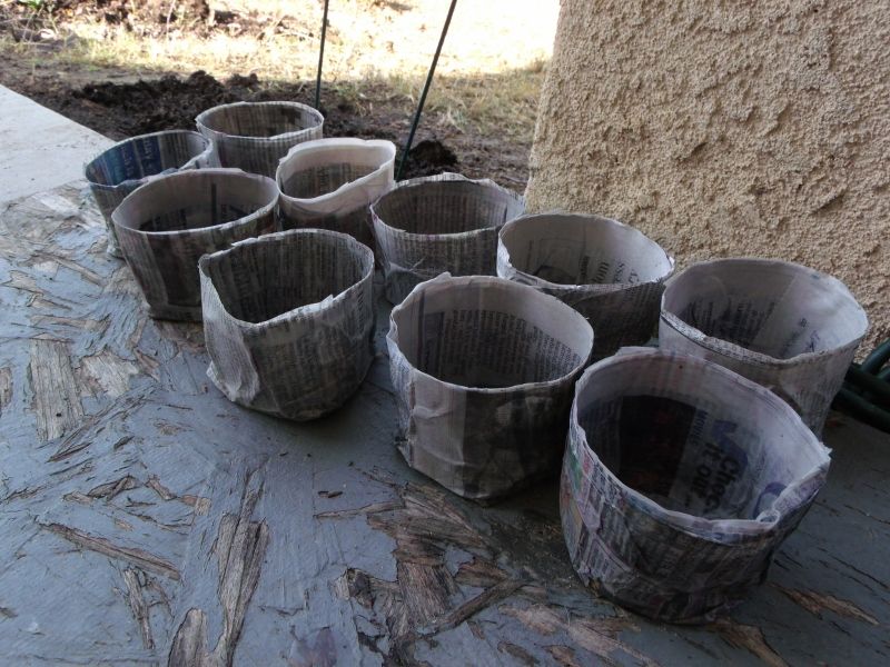 How To: Biodegradable Newspaper Seed Starters