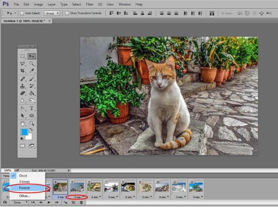 Choose the Animation Settings