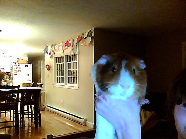 How to throw a Kunai knife or a throwing star