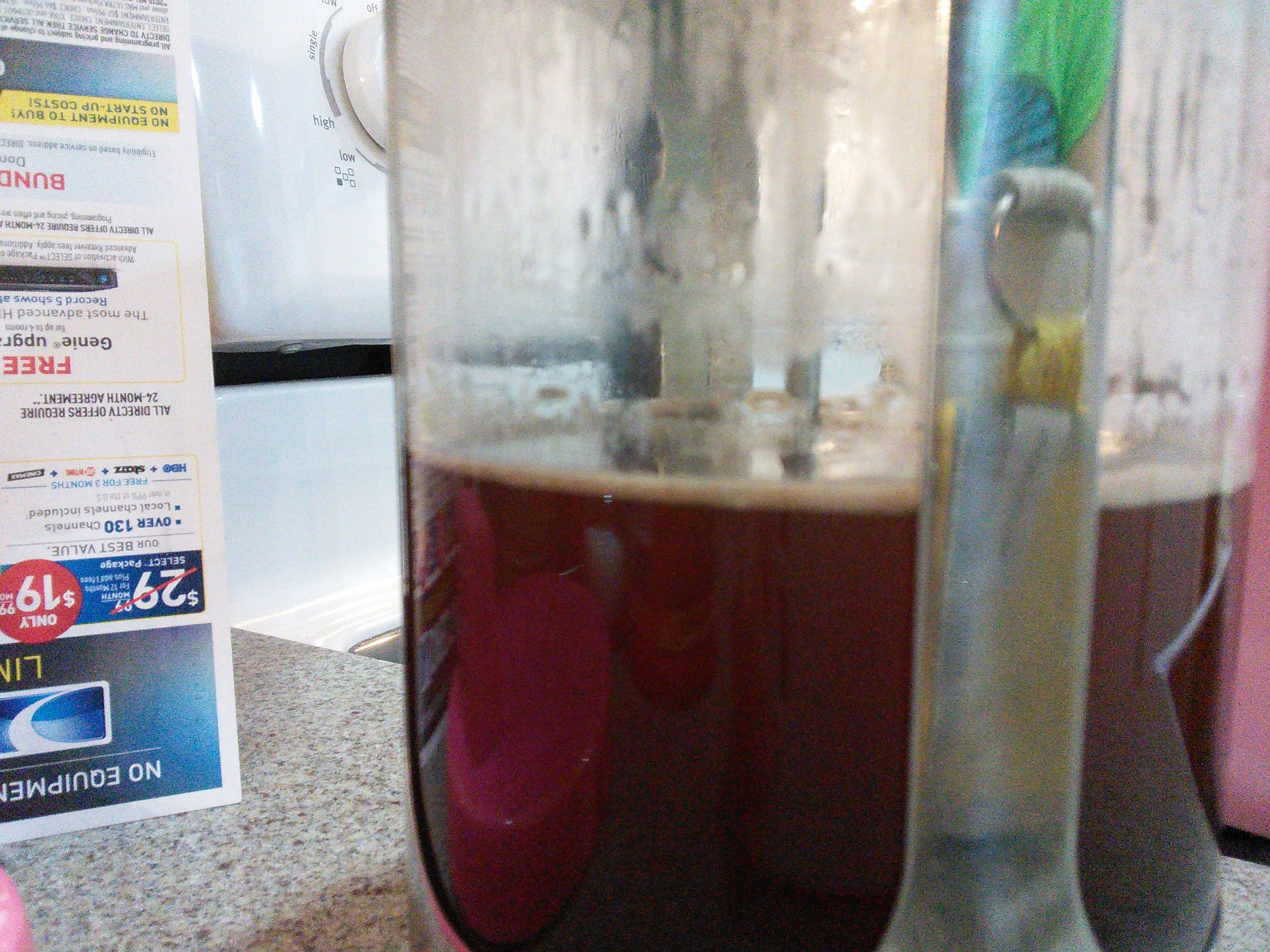 How to Use a Mr. Coffee French Press 9 Steps Instructables