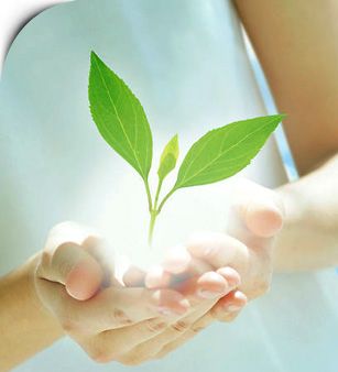 Crown Capital Management Jakarta Indonesia - Mars Curiosity Rover Scheduled for a Stopover