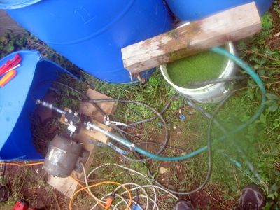 Algae to Oil - Simple Setup