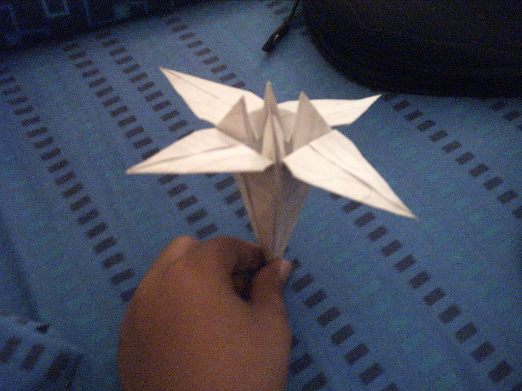 How to Make Paper Flowers