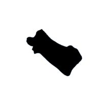 download {{ file.name }}