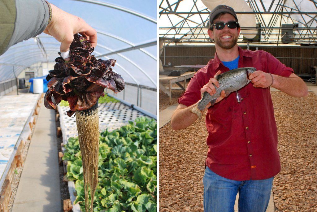 Build a Vertical Aquaponic Veggie & Fish Farm for Small Yards & Houses ...
