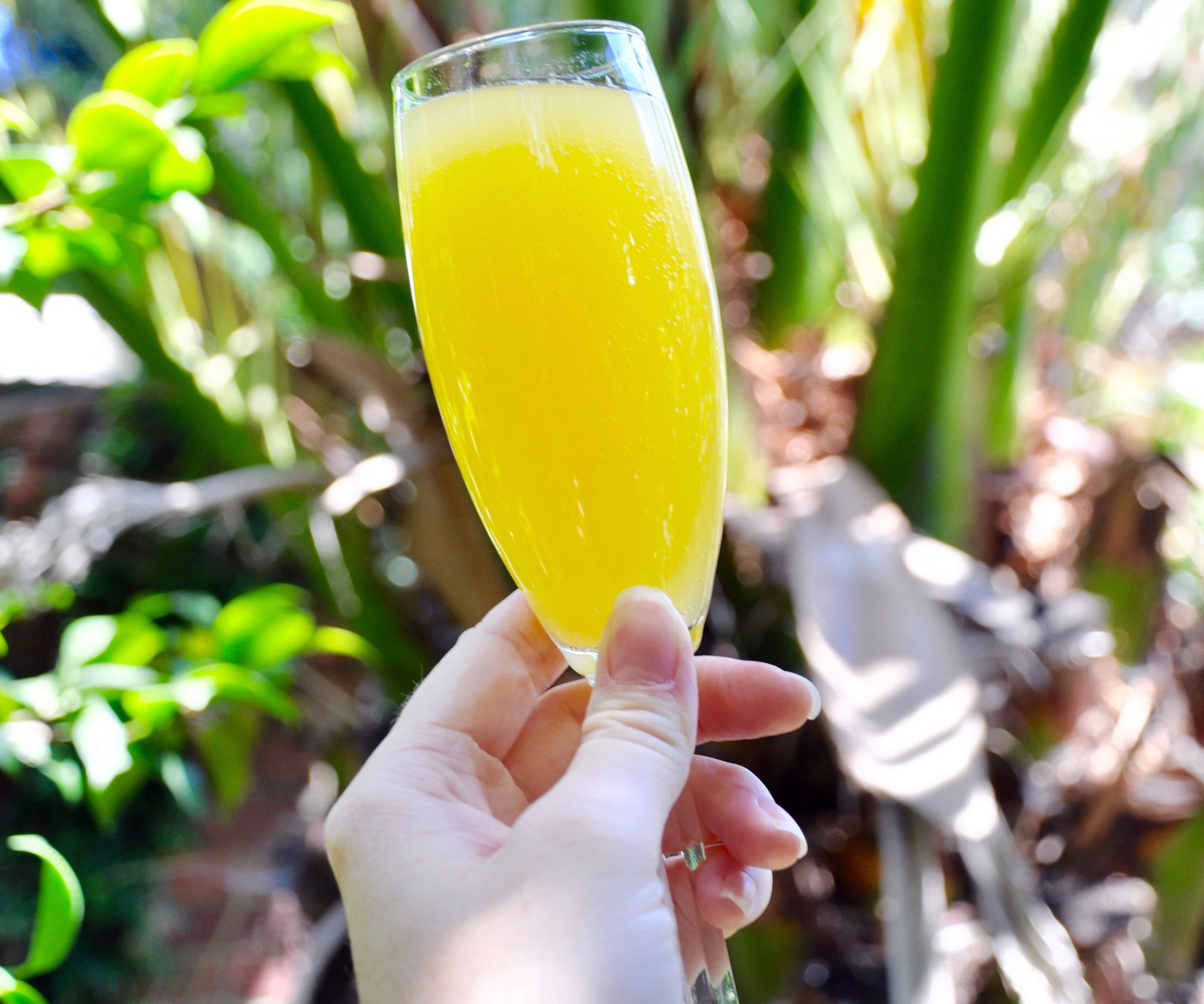 Tropical Mimosa Recipe : 3 Steps (with Pictures) - Instructables