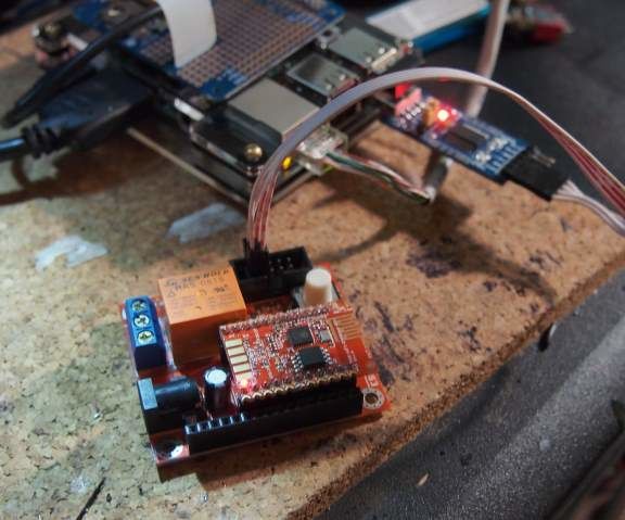 Develop for the ESP8266 on the Raspberry Pi