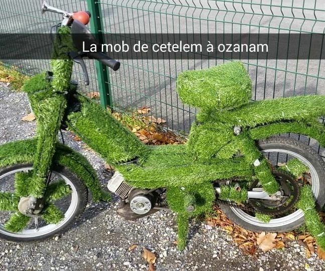The Grass Moped
