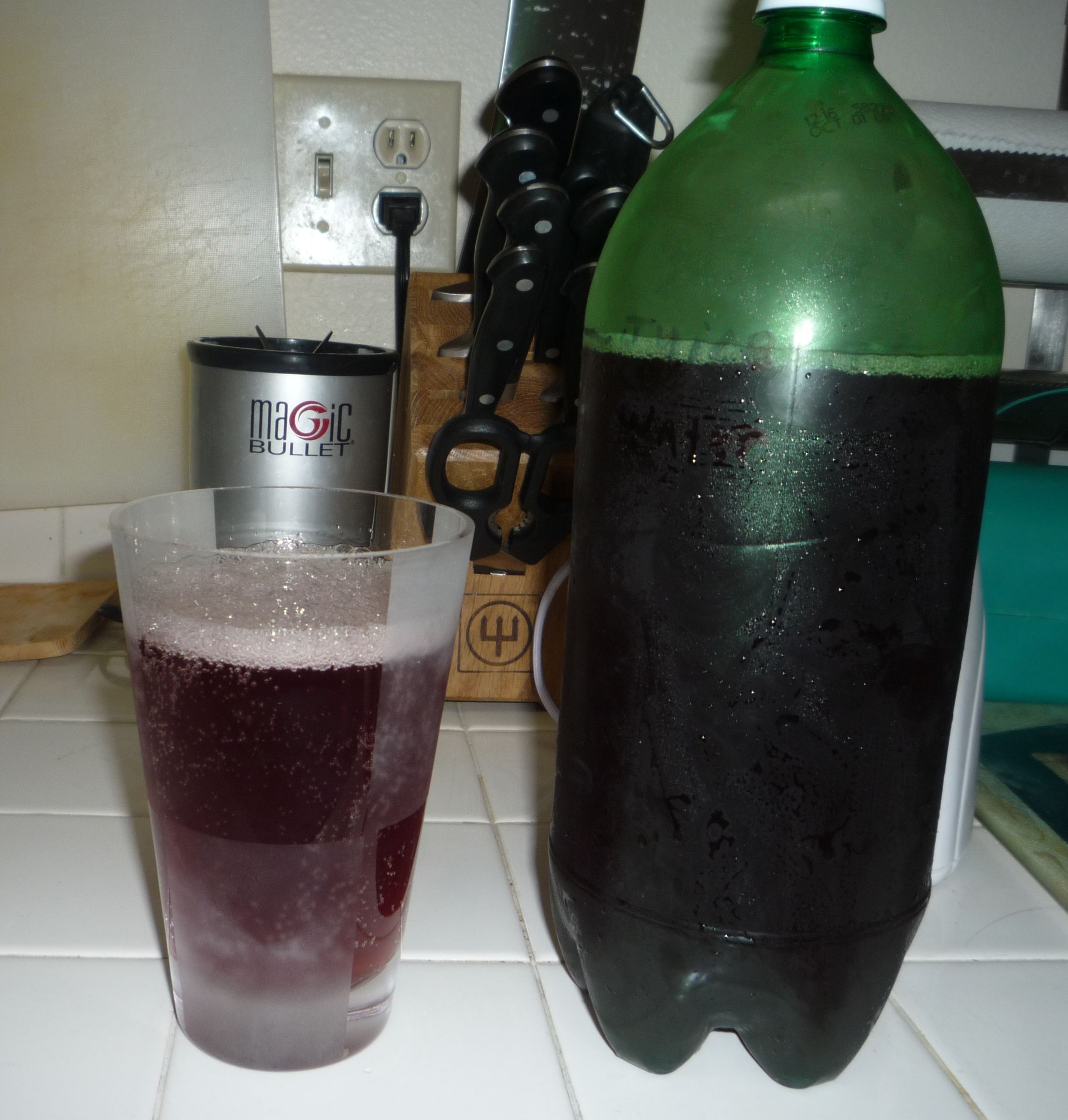 Homemade Carbonated Beverages