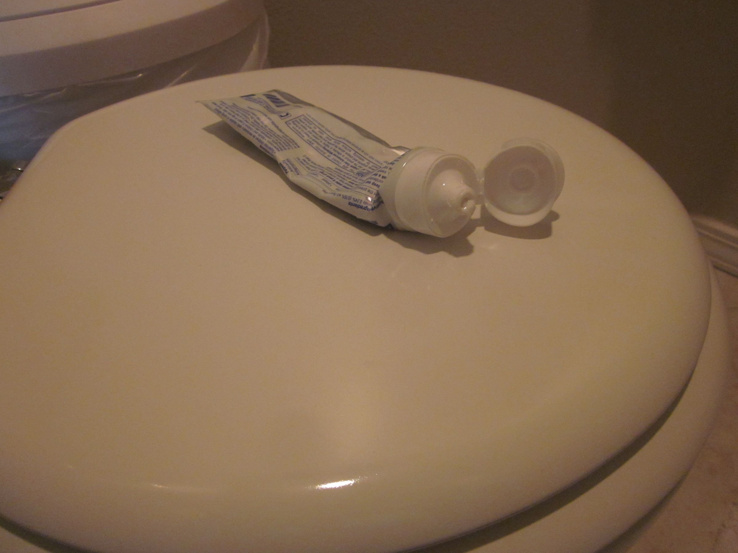 Toothpaste Toilet Prank 5 Steps Instructables