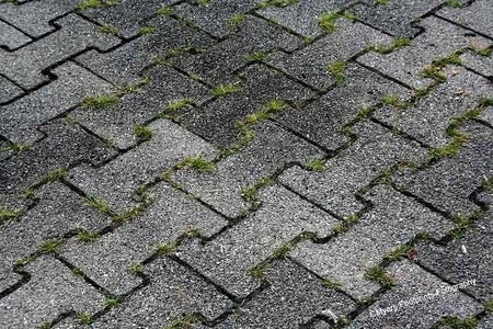 Making Tessellations in Inkscape