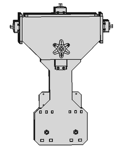Torso